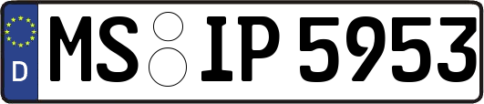 MS-IP5953