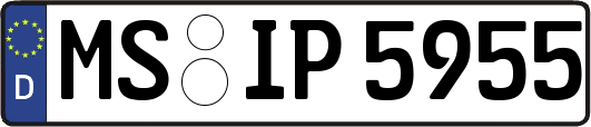MS-IP5955