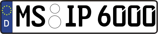 MS-IP6000