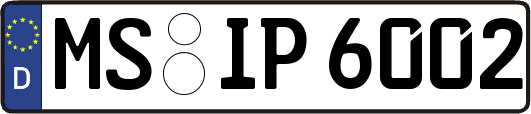 MS-IP6002