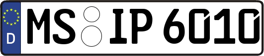 MS-IP6010