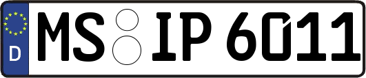MS-IP6011