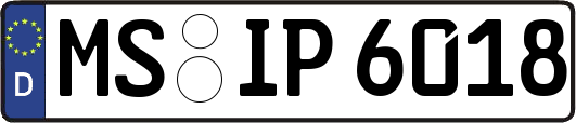 MS-IP6018
