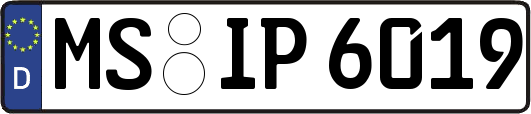 MS-IP6019