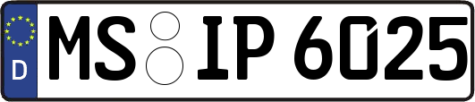 MS-IP6025