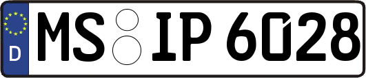 MS-IP6028
