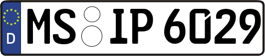 MS-IP6029