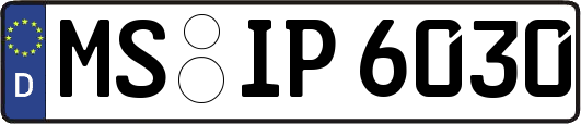 MS-IP6030