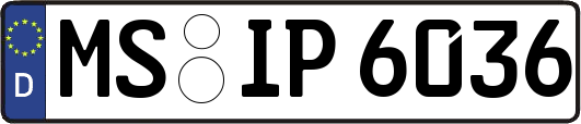 MS-IP6036