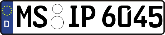 MS-IP6045