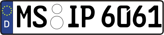 MS-IP6061