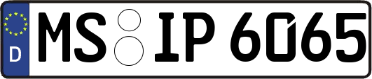 MS-IP6065