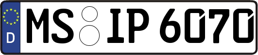MS-IP6070