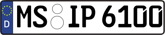 MS-IP6100