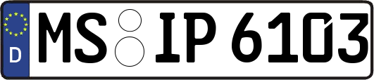 MS-IP6103