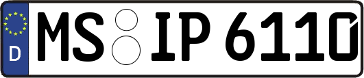 MS-IP6110