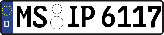 MS-IP6117