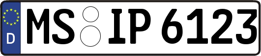 MS-IP6123