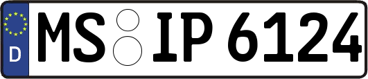 MS-IP6124