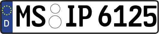MS-IP6125