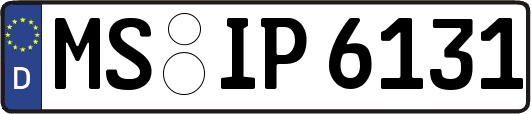 MS-IP6131