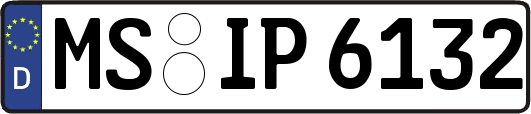 MS-IP6132