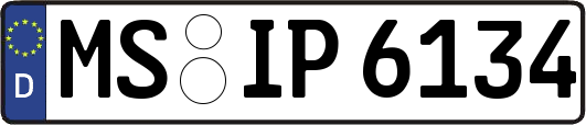 MS-IP6134