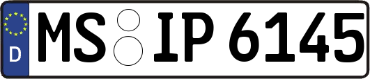 MS-IP6145