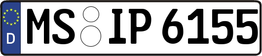 MS-IP6155