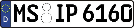 MS-IP6160