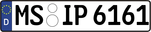 MS-IP6161
