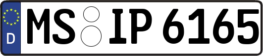 MS-IP6165