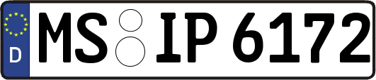 MS-IP6172