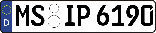 MS-IP6190
