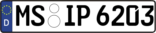 MS-IP6203