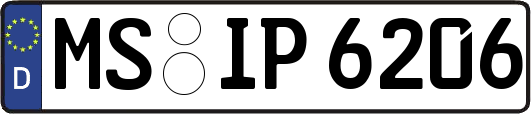 MS-IP6206