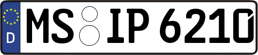 MS-IP6210