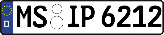 MS-IP6212