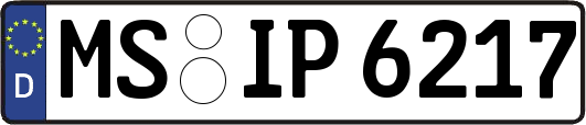 MS-IP6217