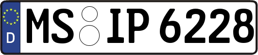 MS-IP6228