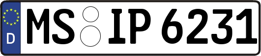 MS-IP6231