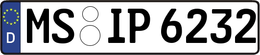 MS-IP6232