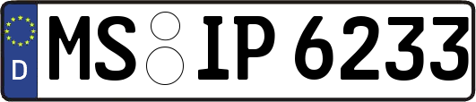 MS-IP6233