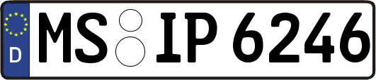 MS-IP6246