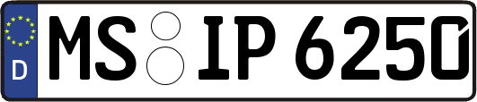 MS-IP6250