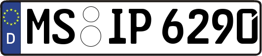 MS-IP6290