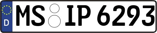 MS-IP6293