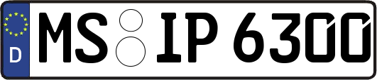 MS-IP6300