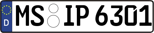 MS-IP6301