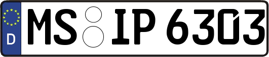 MS-IP6303